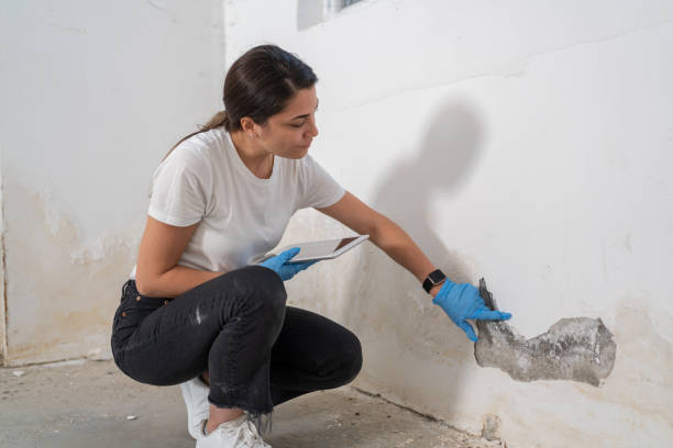 Женщина ремонтирует поврежденную стену путем нанесения штукатурки, в повседневной одежде и защитных перчатках во время ремонта.